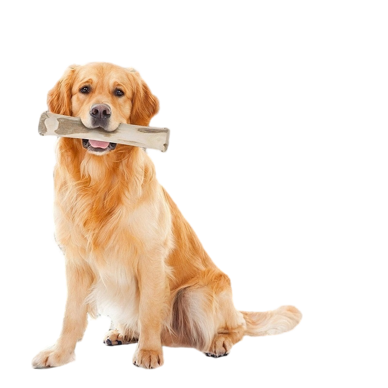 Coffee Wood Dog Toy Dog Chew Stick - Image 5