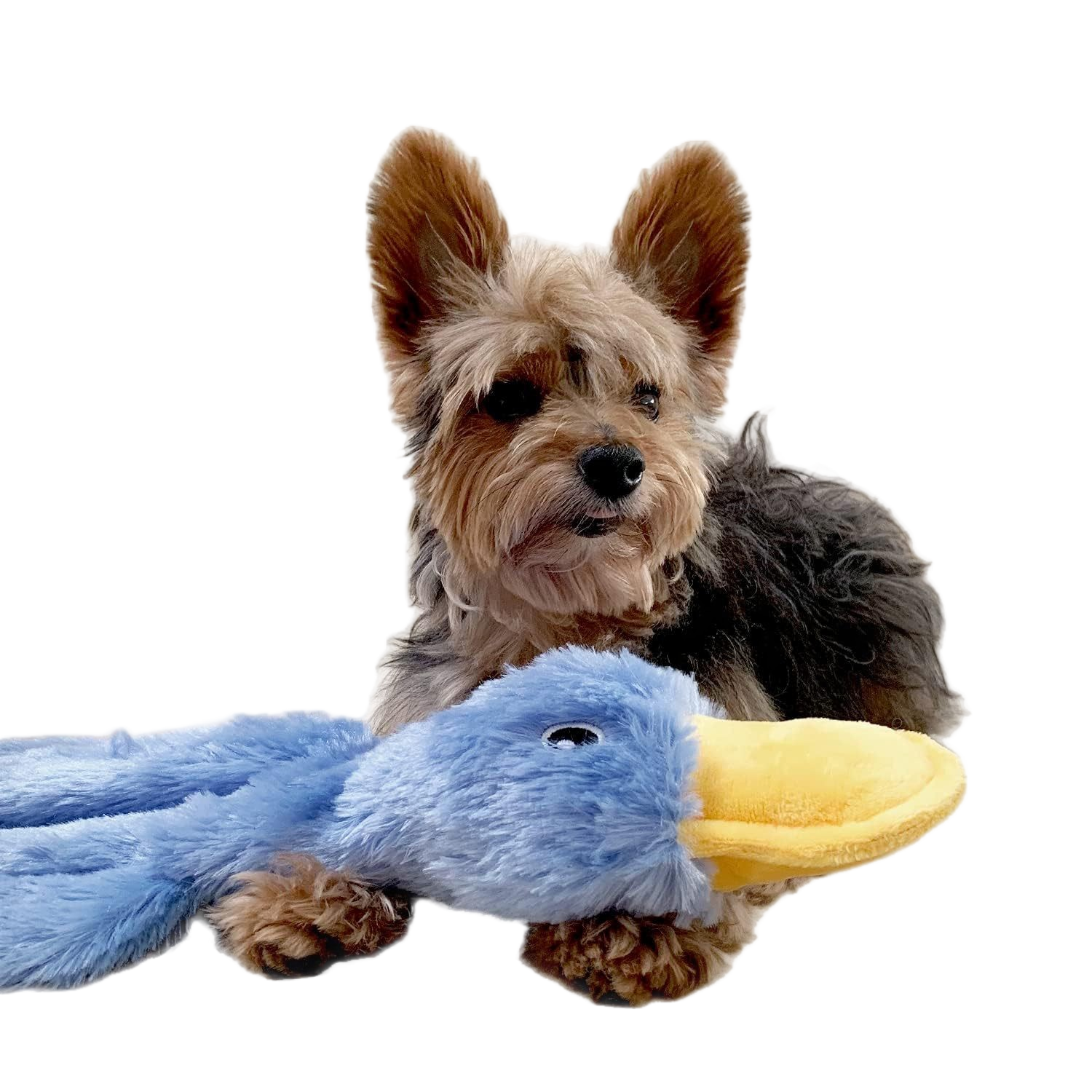 Interactive Squeaky Dog Chew Toy - Image 4