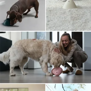 Hidden-Treat Puzzle Dog Chew Toy