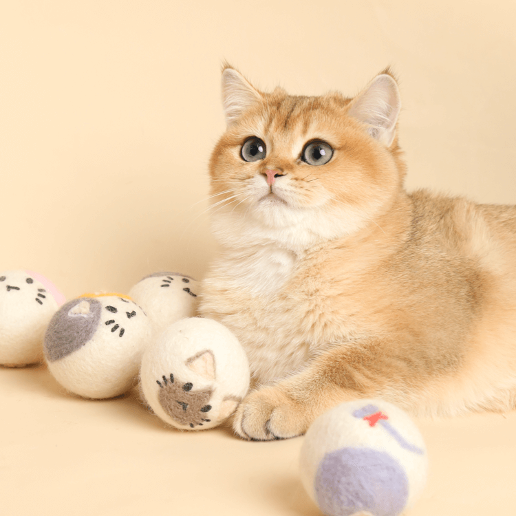 Pet Tease Cat Ball Self-indulgence Interactive Toy - Image 5