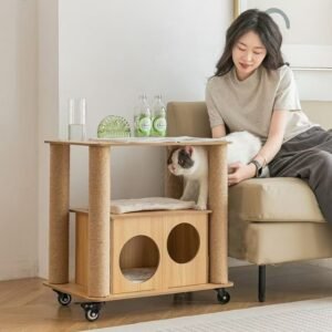 Shared Coffee Table Cat Bed