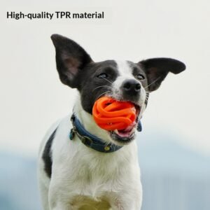 Durable Outdoor Dog Chew Toy